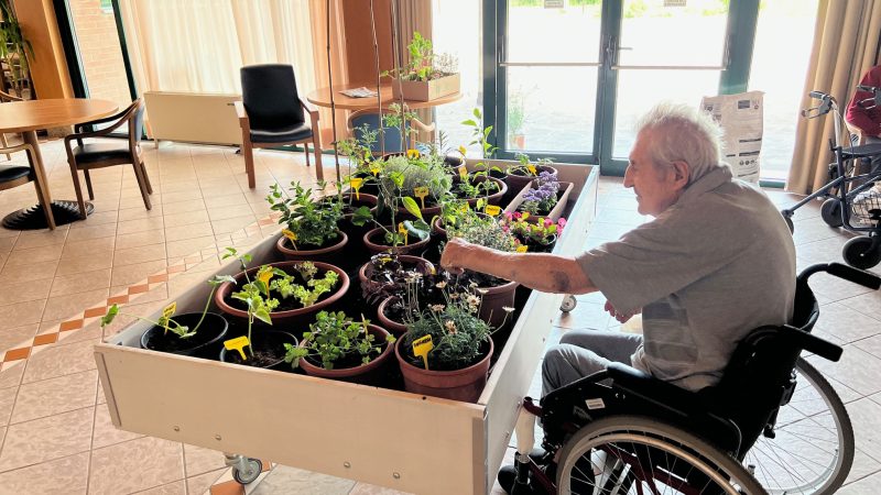 Il laborratorio di ortocoltura "Ortovolante"